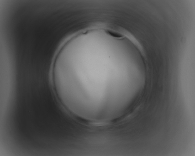 X0000100911344200807081116