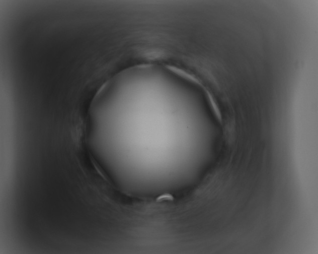 X0000100911349200807081115