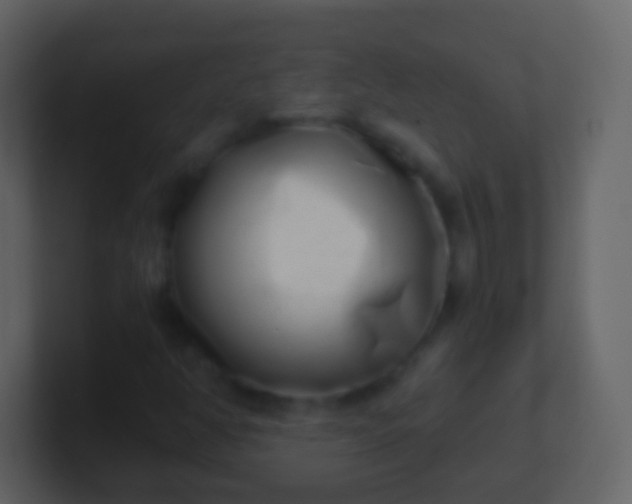 X0000100911350200807081115