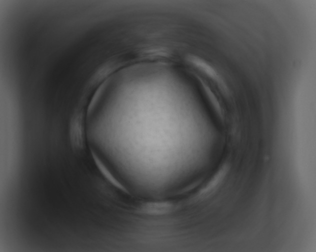 X0000100911354200807081115
