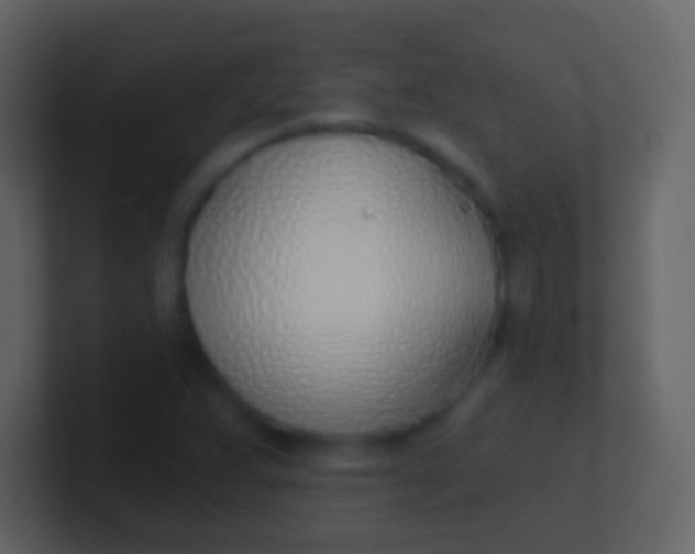 X0000100911359200807081115