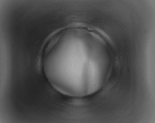 X0000100911364200807081115