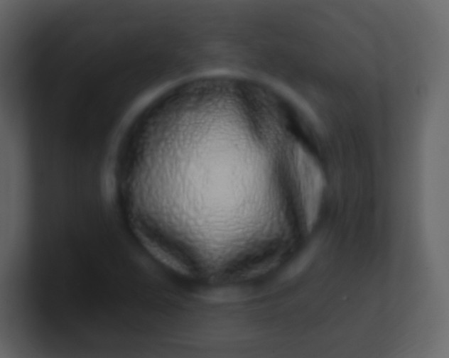 X0000100911367200807081115