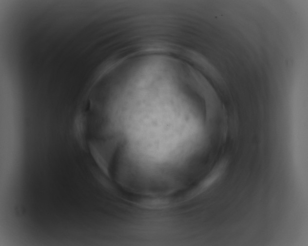 X0000100911369200807081115