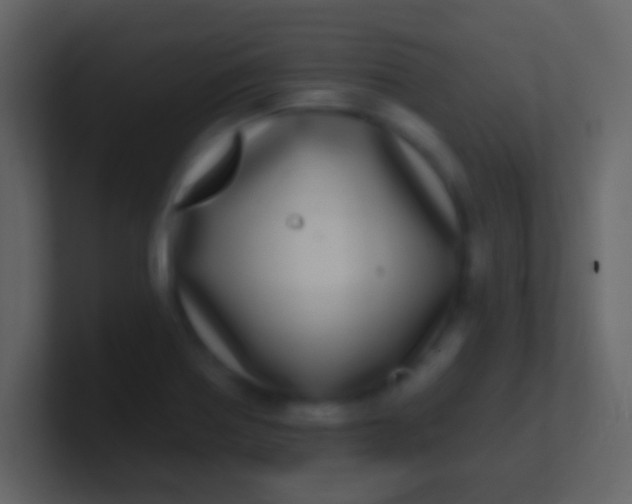 X0000100911370200807081115