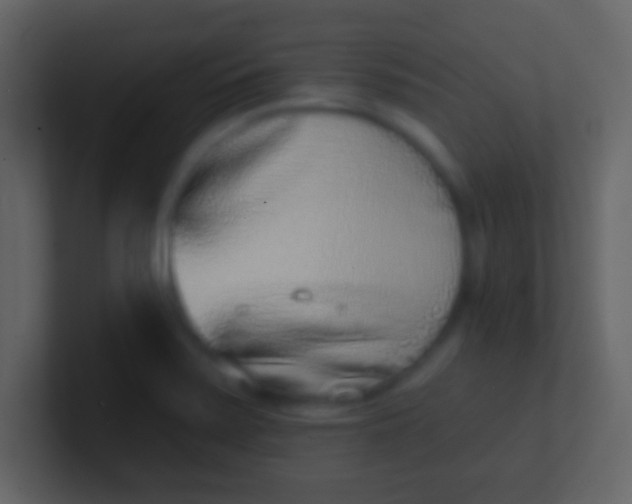 X0000100911371200807081115