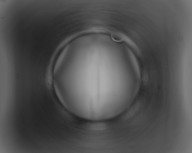 X0000100911372200807081115