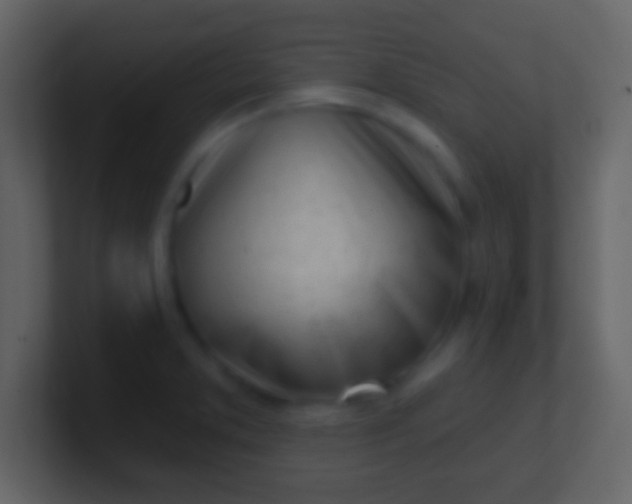 X0000100911373200807081115