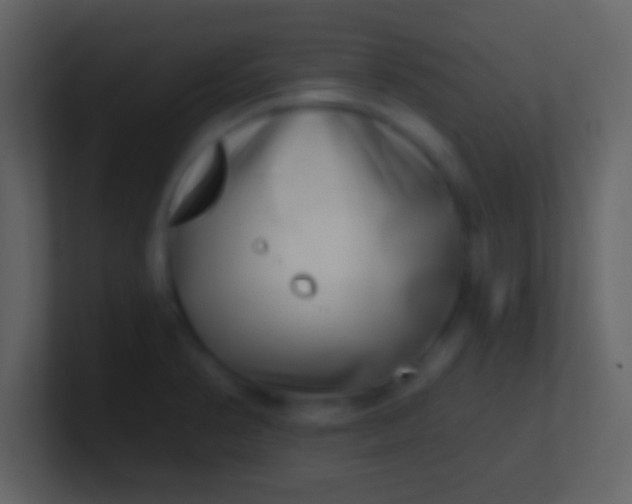 X0000100911374200807081115