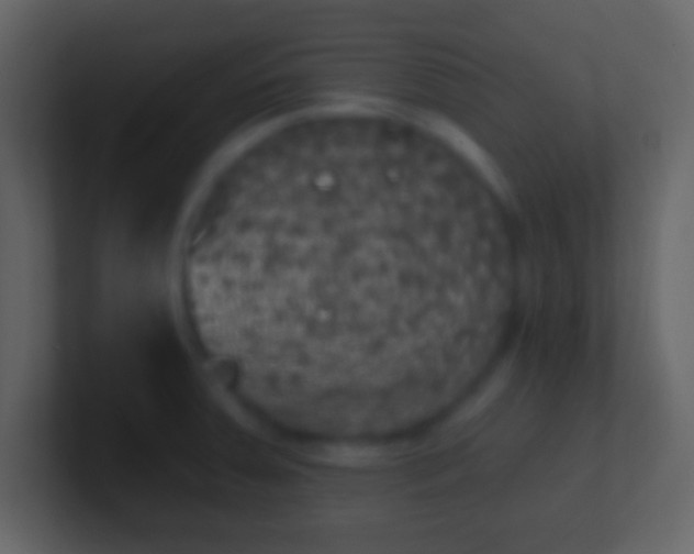 X0000100911379200807081115