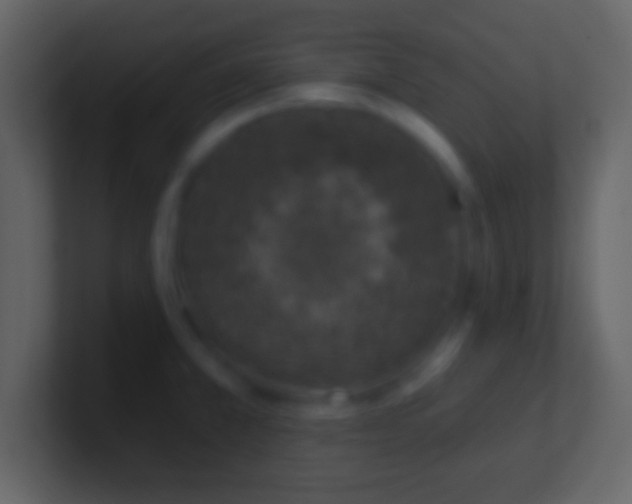 X0000100911381200807081115
