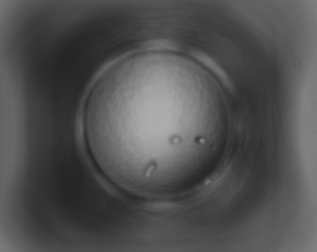 X0000100911383200807081115