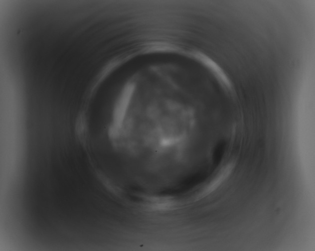 X0000100911385200807081115