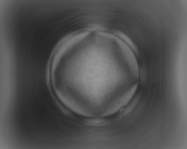 X0000100911387200807081115