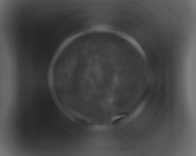 X0000100911389200807081115