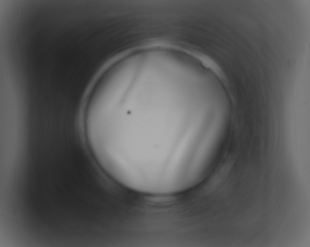X0000100911392200807081115
