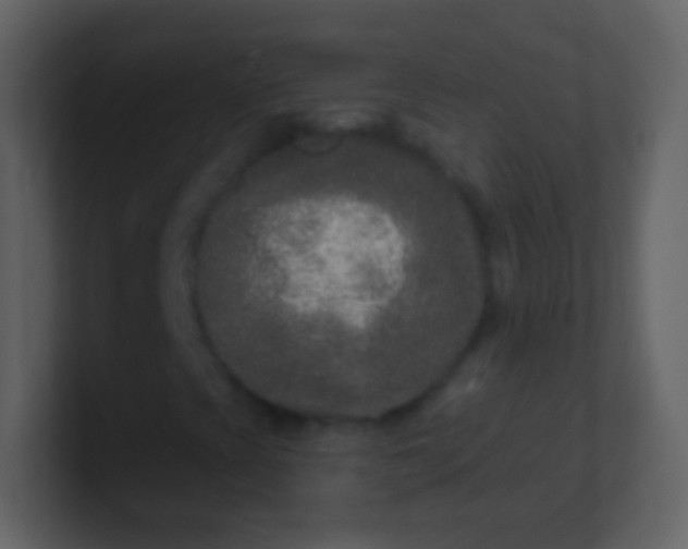 X0000100911393200807081114