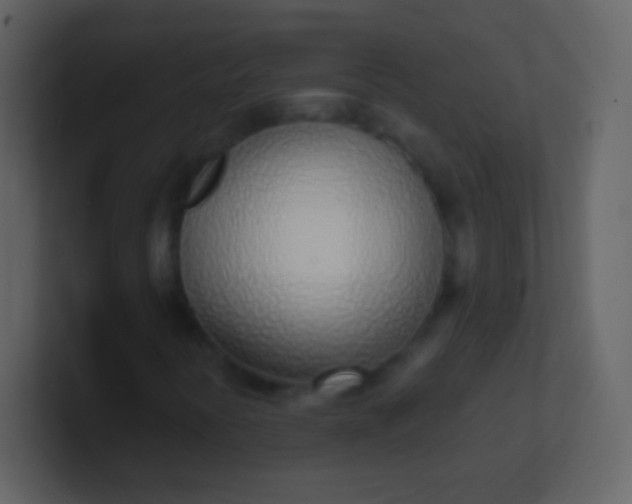 X0000100911394200807081114