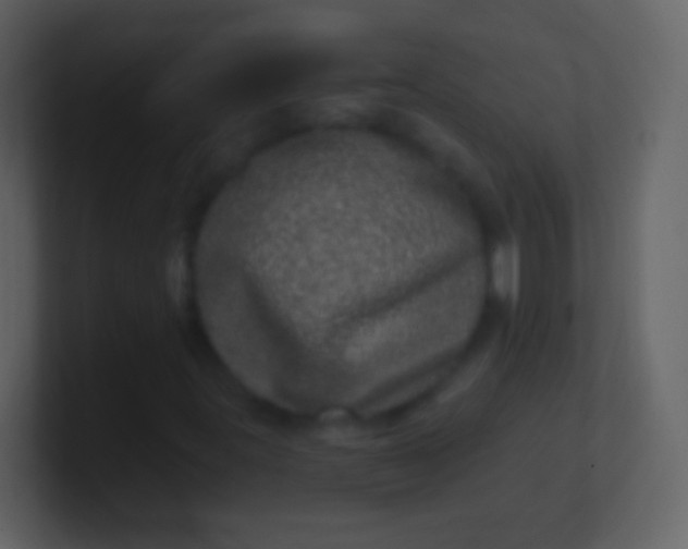 X0000100911395200807081114