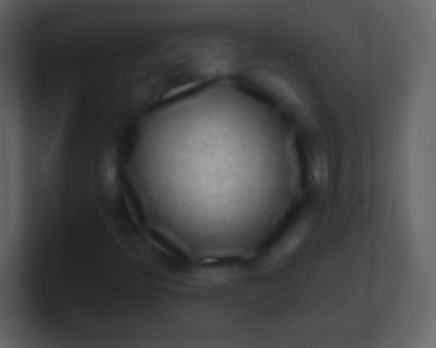 X0000100911396200807081114