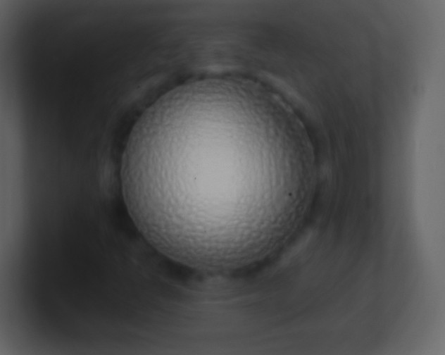 X0000100911398200807081114