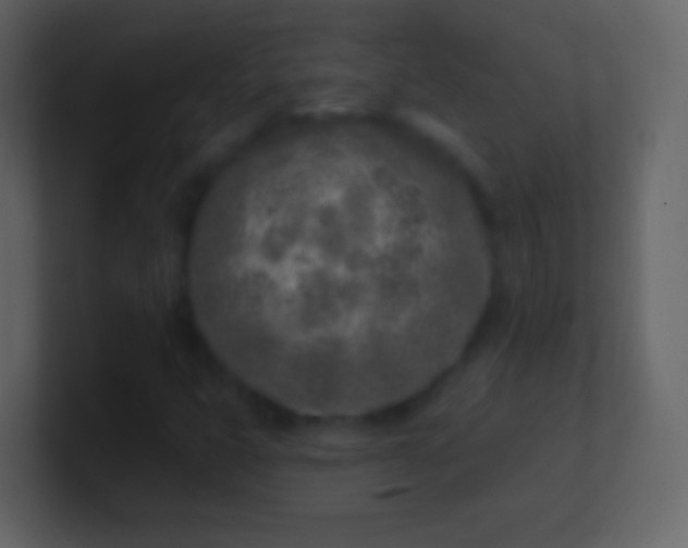 X0000100911399200807081114