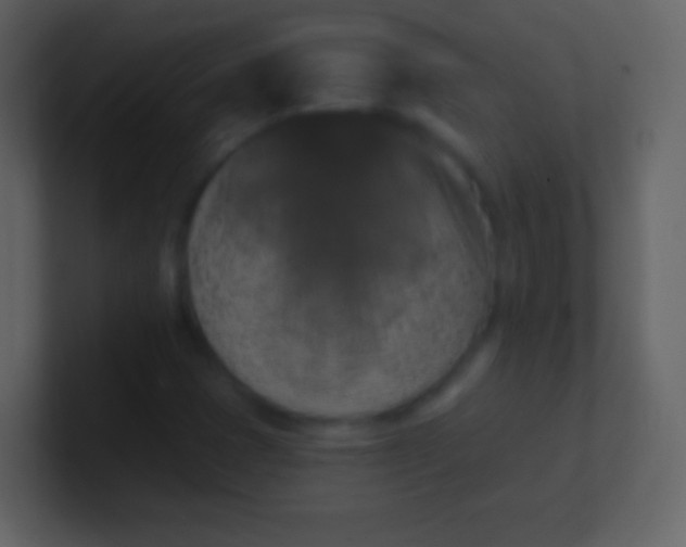 X0000100911401200807081114