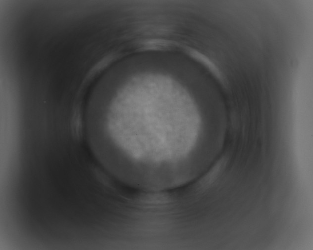 X0000100911403200807081114