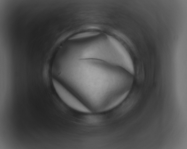 X0000100911404200807081114