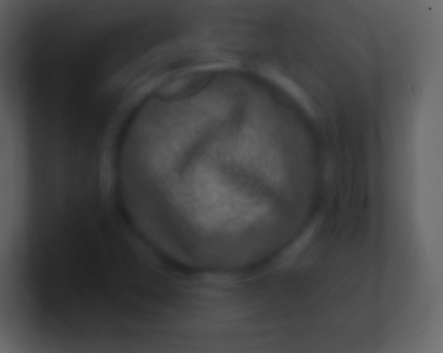 X0000100911407200807081114