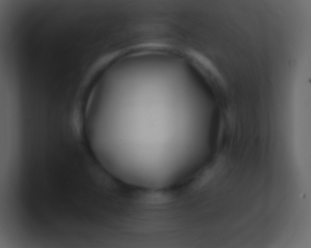 X0000100911408200807081114