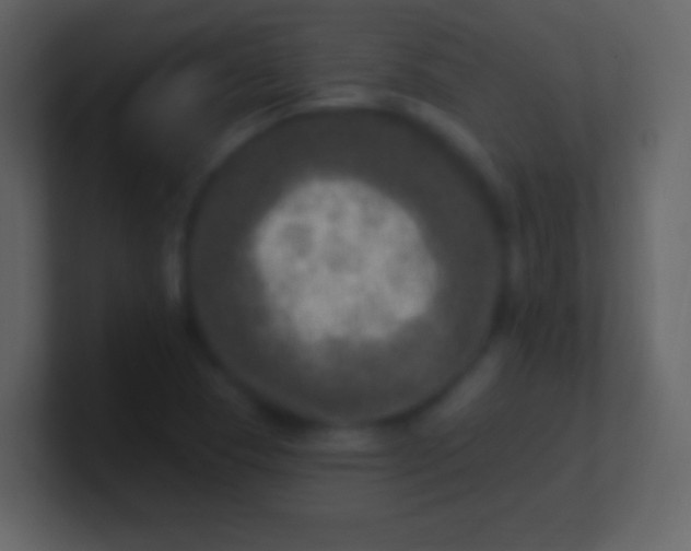 X0000100911409200807081114