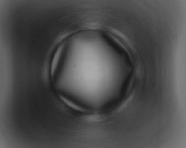 X0000100911410200807081114