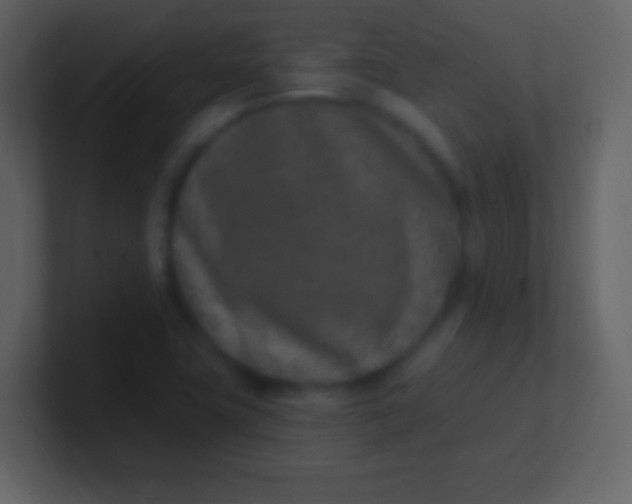 X0000100911411200807081114