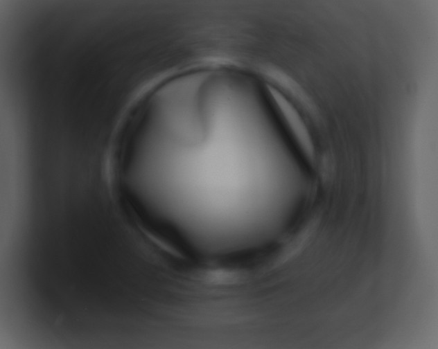 X0000100911412200807081114
