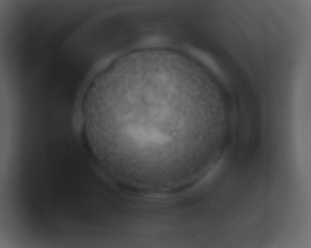 X0000100911413200807081114