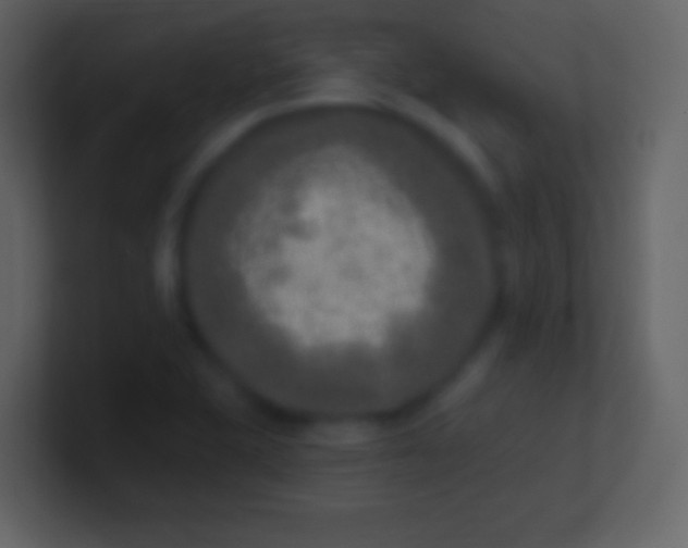 X0000100911415200807081114