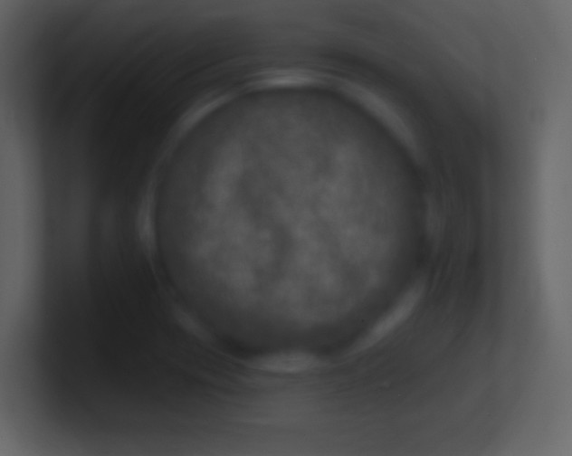 X0000100911417200807081114