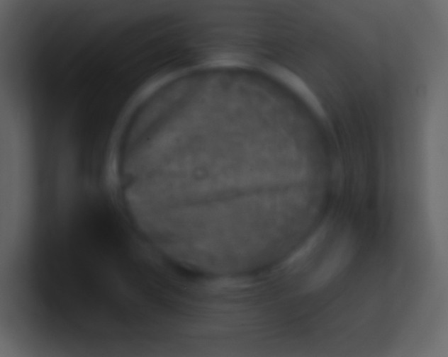 X0000100911419200807081114