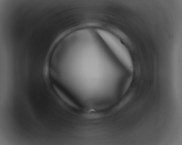 X0000100911420200807081114