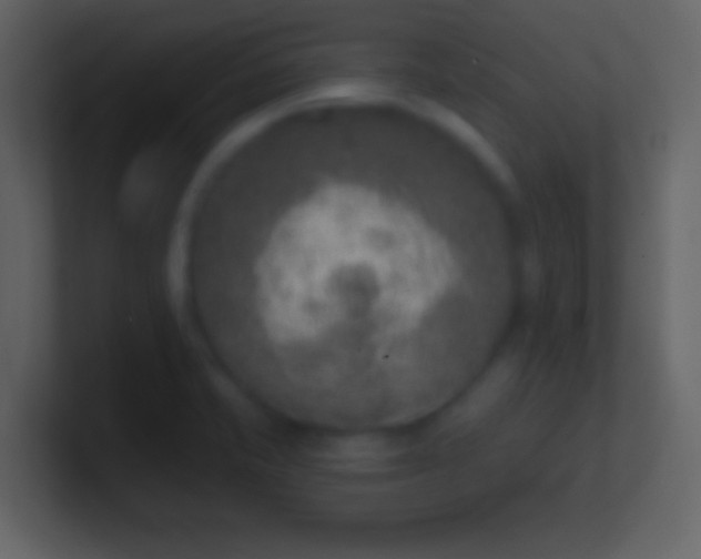 X0000100911421200807081114