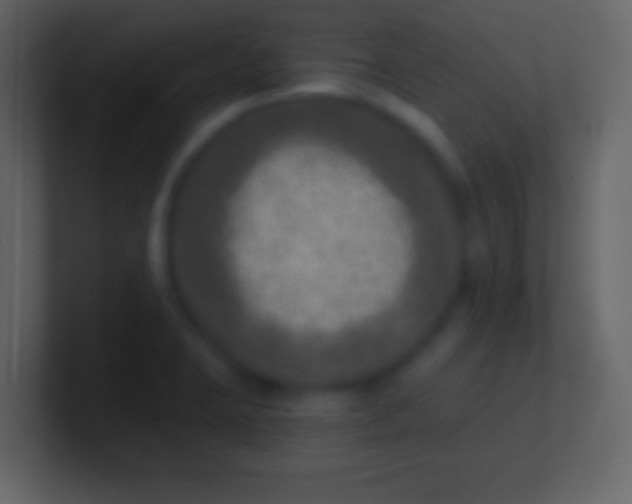 X0000100911423200807081114