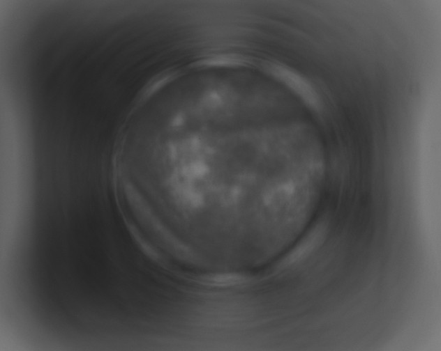 X0000100911425200807081114