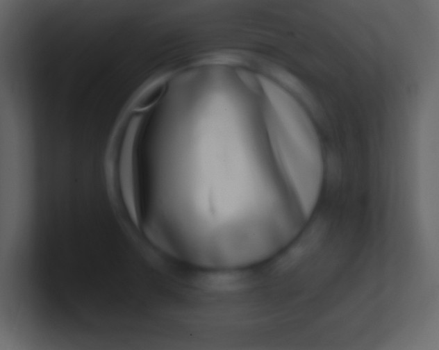 X0000100911426200807081114