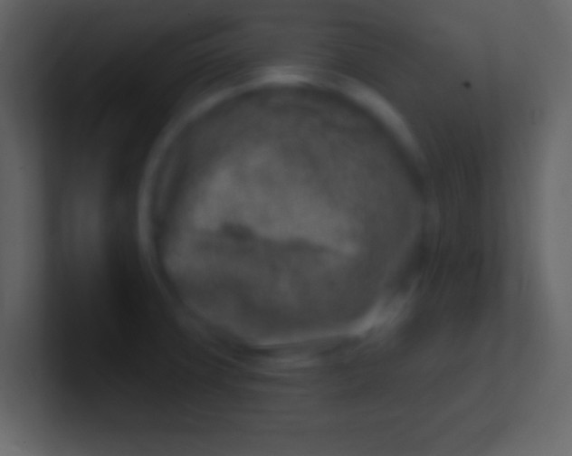 X0000100911427200807081114