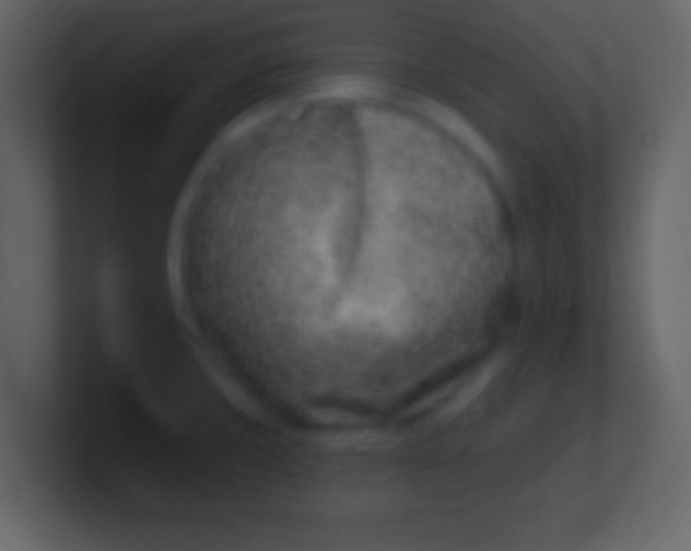 X0000100911429200807081114