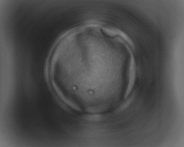 X0000100911431200807081114