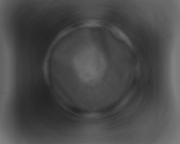 X0000100911435200807081115