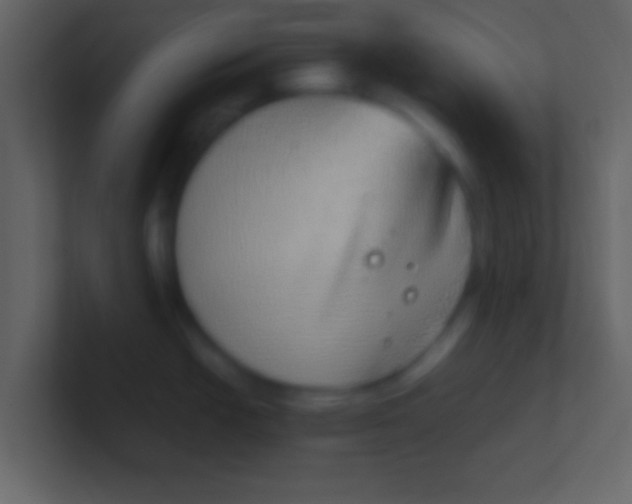 X0000100911438200807081115