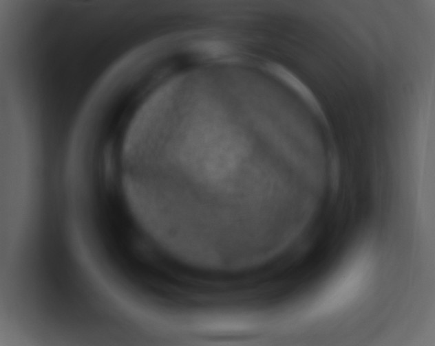 X0000100911439200807081115